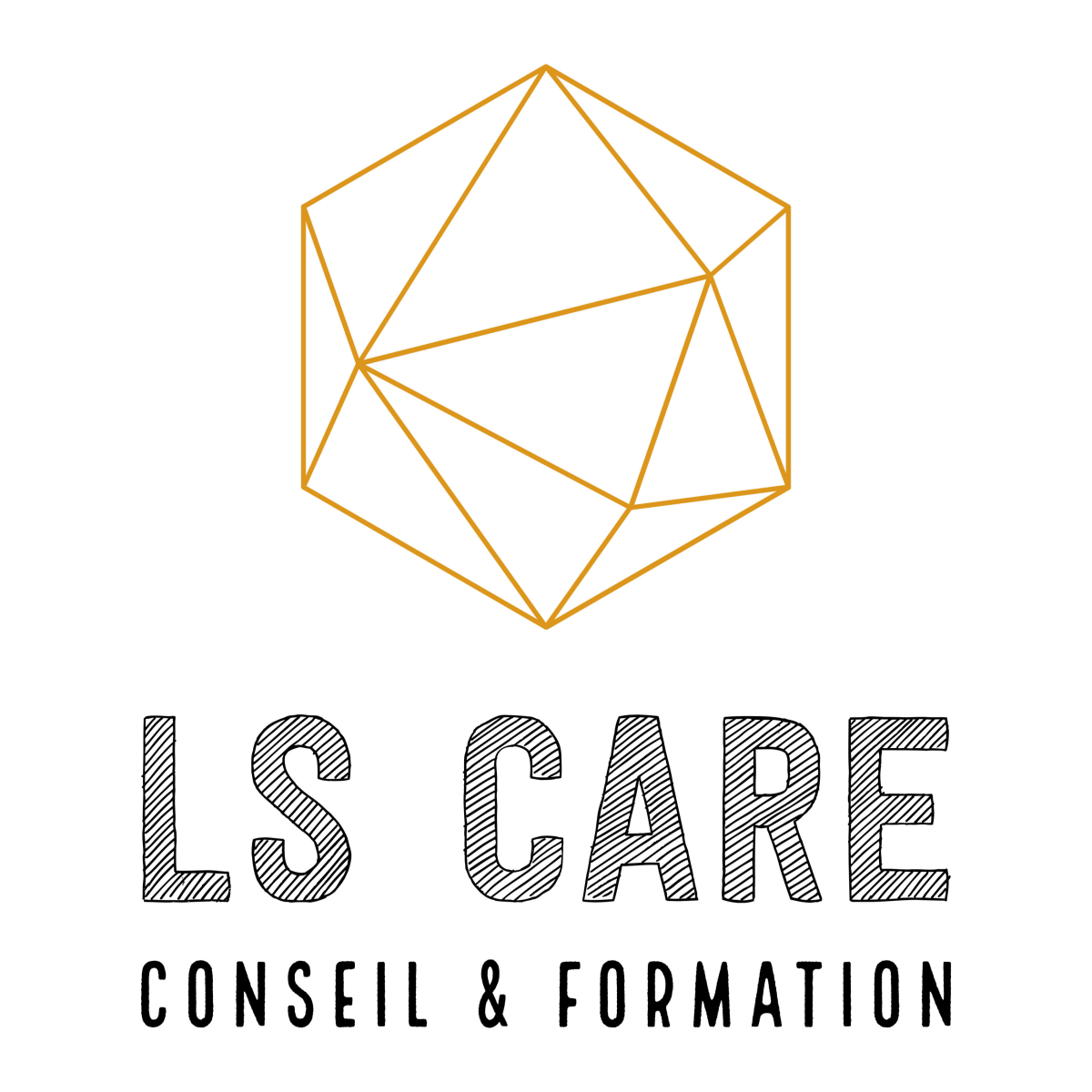 Logo LS CARE – Conseil & formation